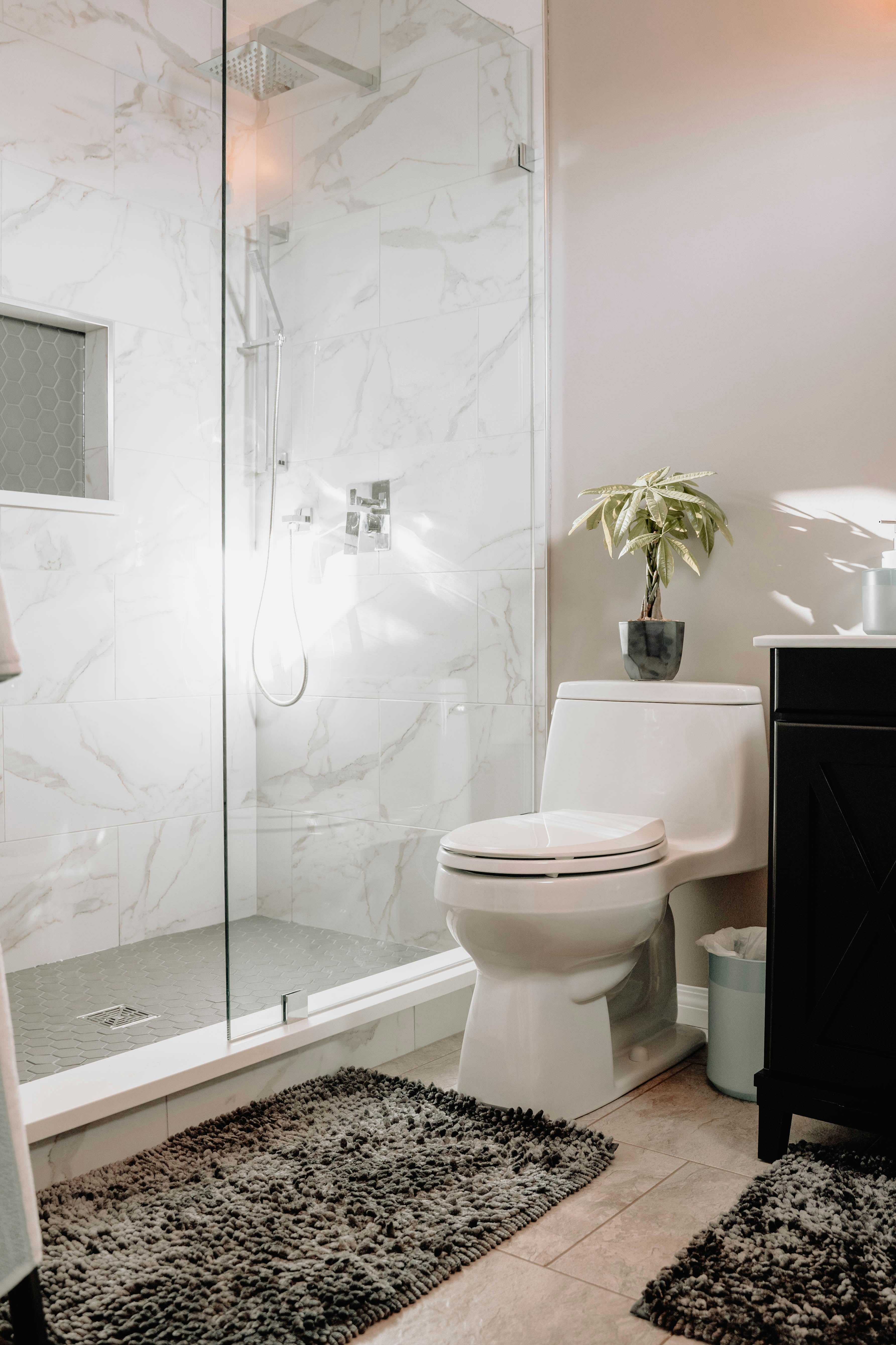 What is a Bidet Spray?